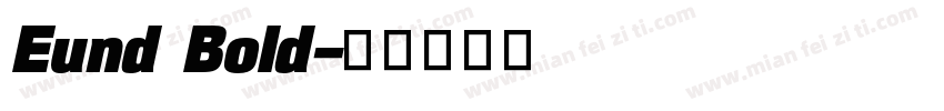 Eund Bold字体转换